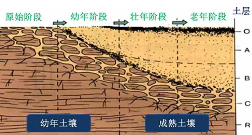 不容忽视！十大土壤‘癌症’，拯救行动刻不容缓！