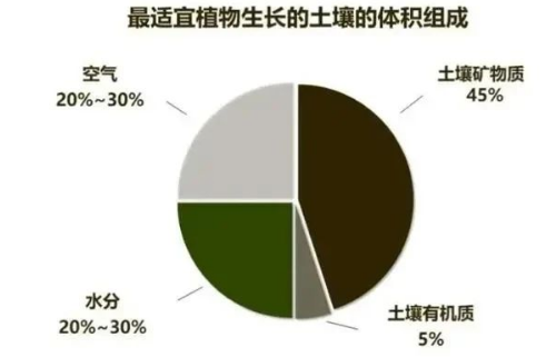 “土壤肥力”到底是什么？提高肥力提高的什么？一句话弄懂了→