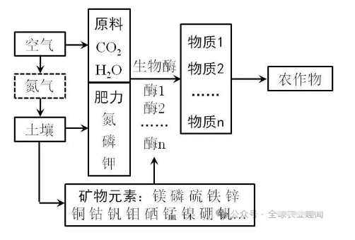 为什么出现 “菜没味、瓜不甜、果不香”？