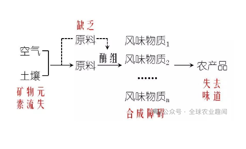 为什么出现 “菜没味、瓜不甜、果不香”？