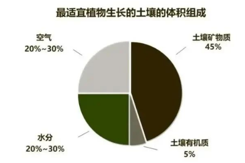 土壤肥力”到底是什么？提高肥力提高的什么？一句话弄懂了→