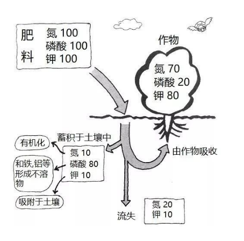 土壤过度施肥造成的障碍有哪些？如何避免？