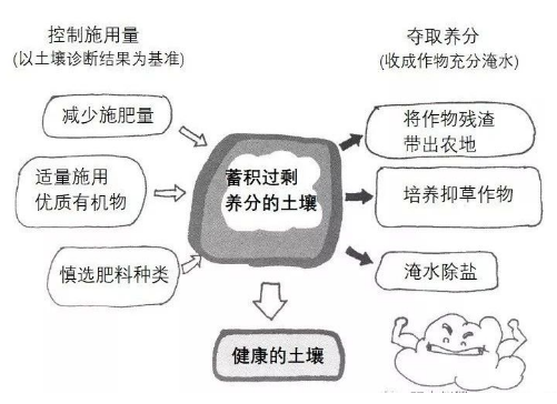 土壤过度施肥造成的障碍有哪些？如何避免？