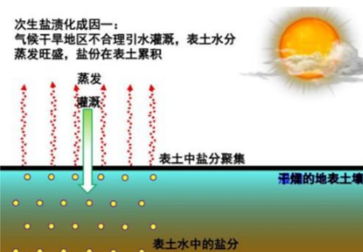 热门的盐碱地改良，如何挖掘自己产品特点进行应用推广→