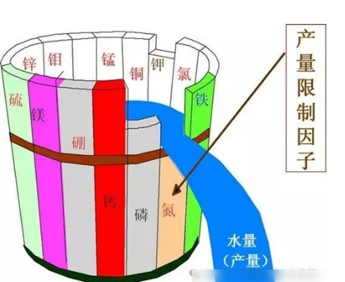 健康土壤的主要指标