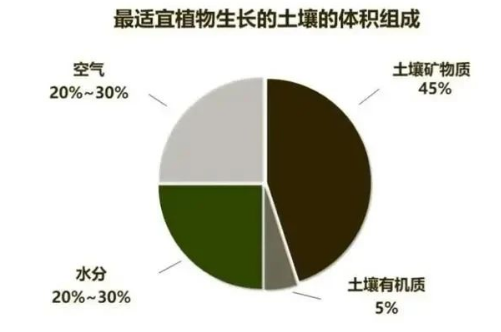 “土壤肥力”到底是什么？提高肥力提高的什么？一句话弄懂了