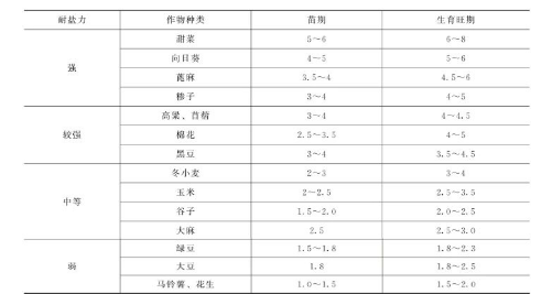 高标准农田土壤盐碱化与改良措施