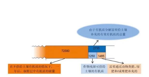  土壤肥力——土壤有机质平衡